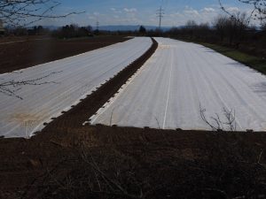 Czym są plandeki na wymiar